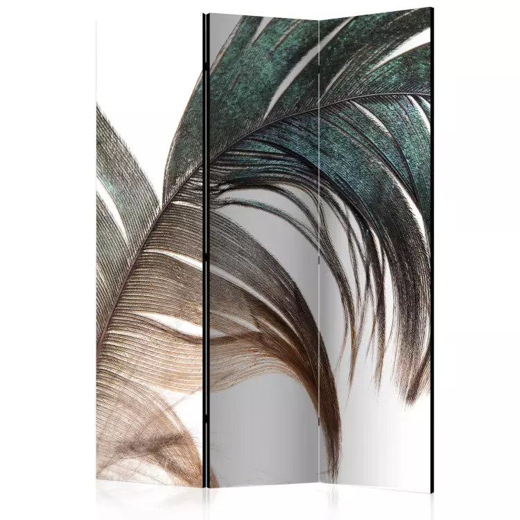 Hermosa pluma - pluma colorida sobre fondo blanco en estilo romántico