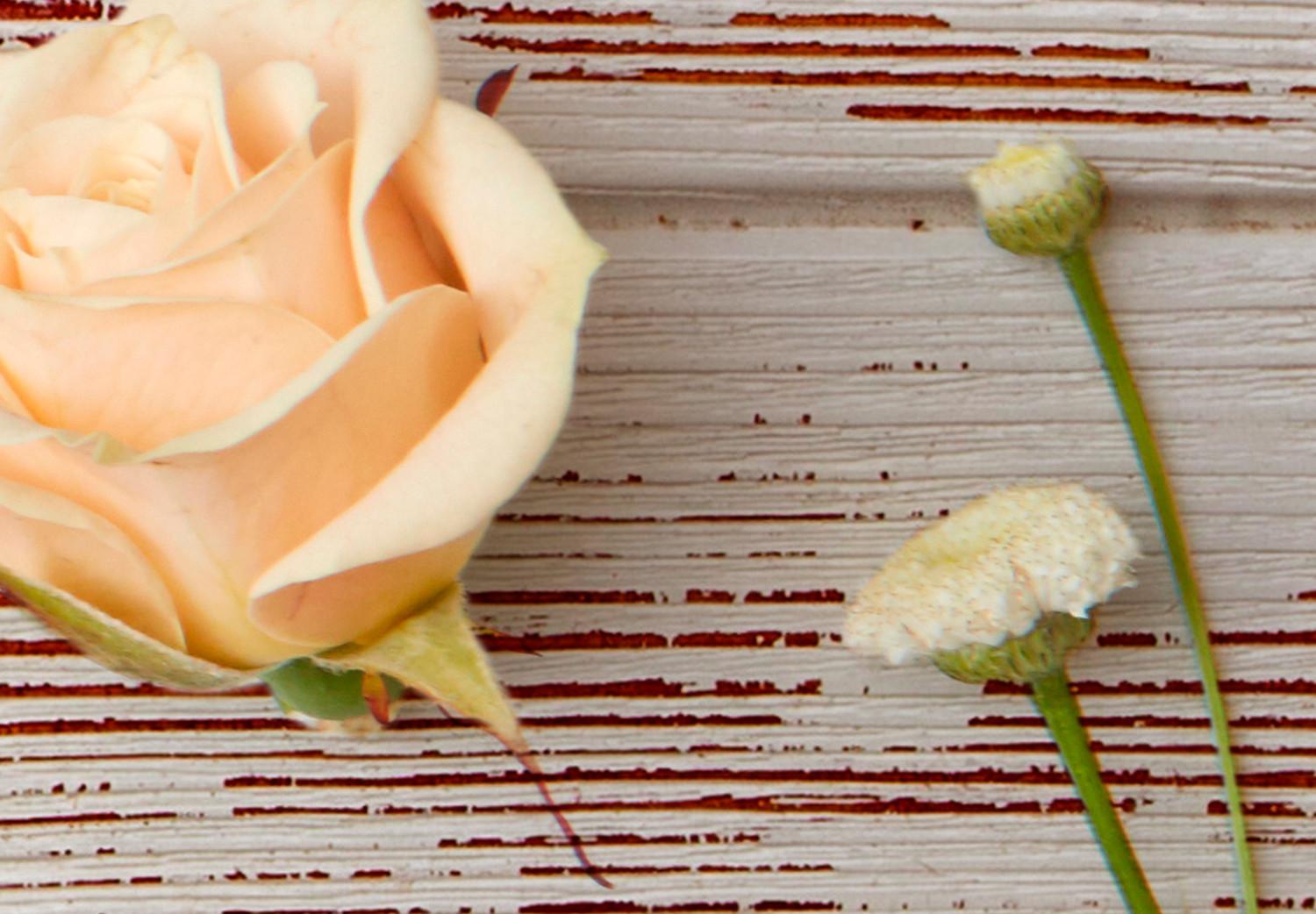 Fotomural Composición floral romántica - rosas y margaritas en fondo de madera