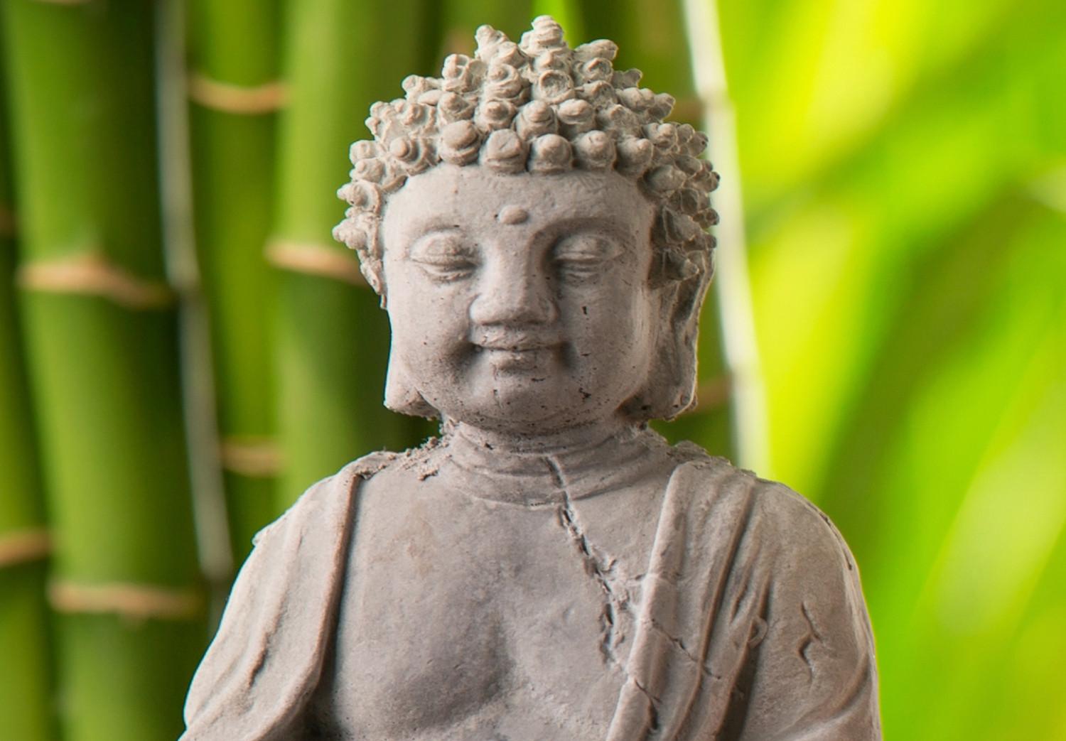 Cuadro decorativo Buddha: Meditation