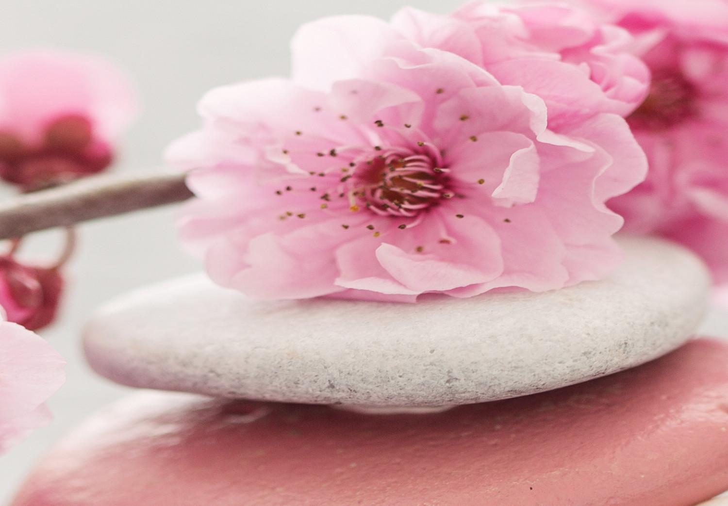Cuadro moderno Zen: Cherry Blossoms
