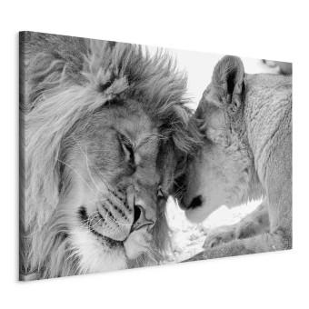 Cuadro decorativo Lion's Love