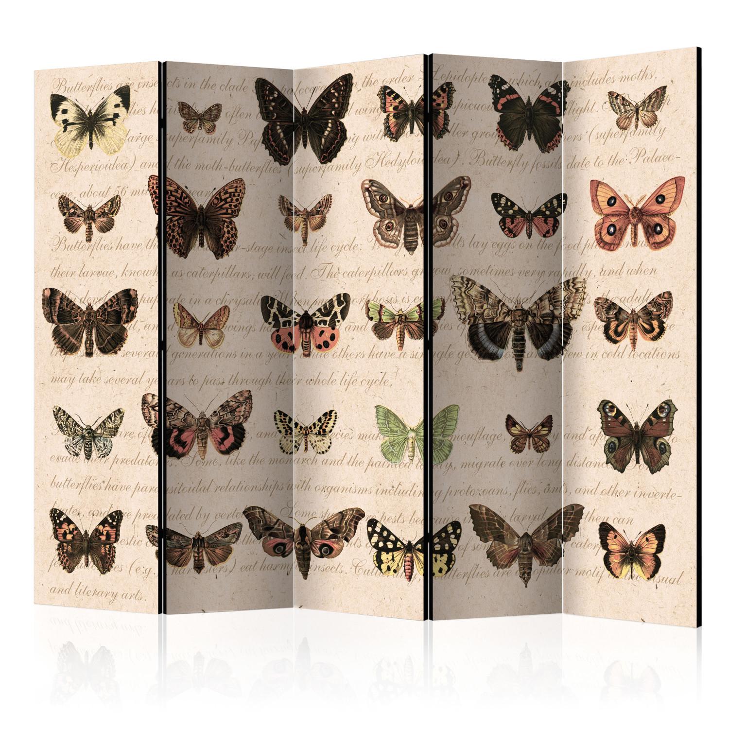 Biombo original Retro Style: Butterflies II [Room Dividers]