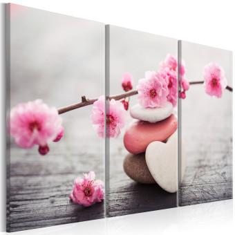 Cuadro decorativo Zen: Cherry Blossoms II