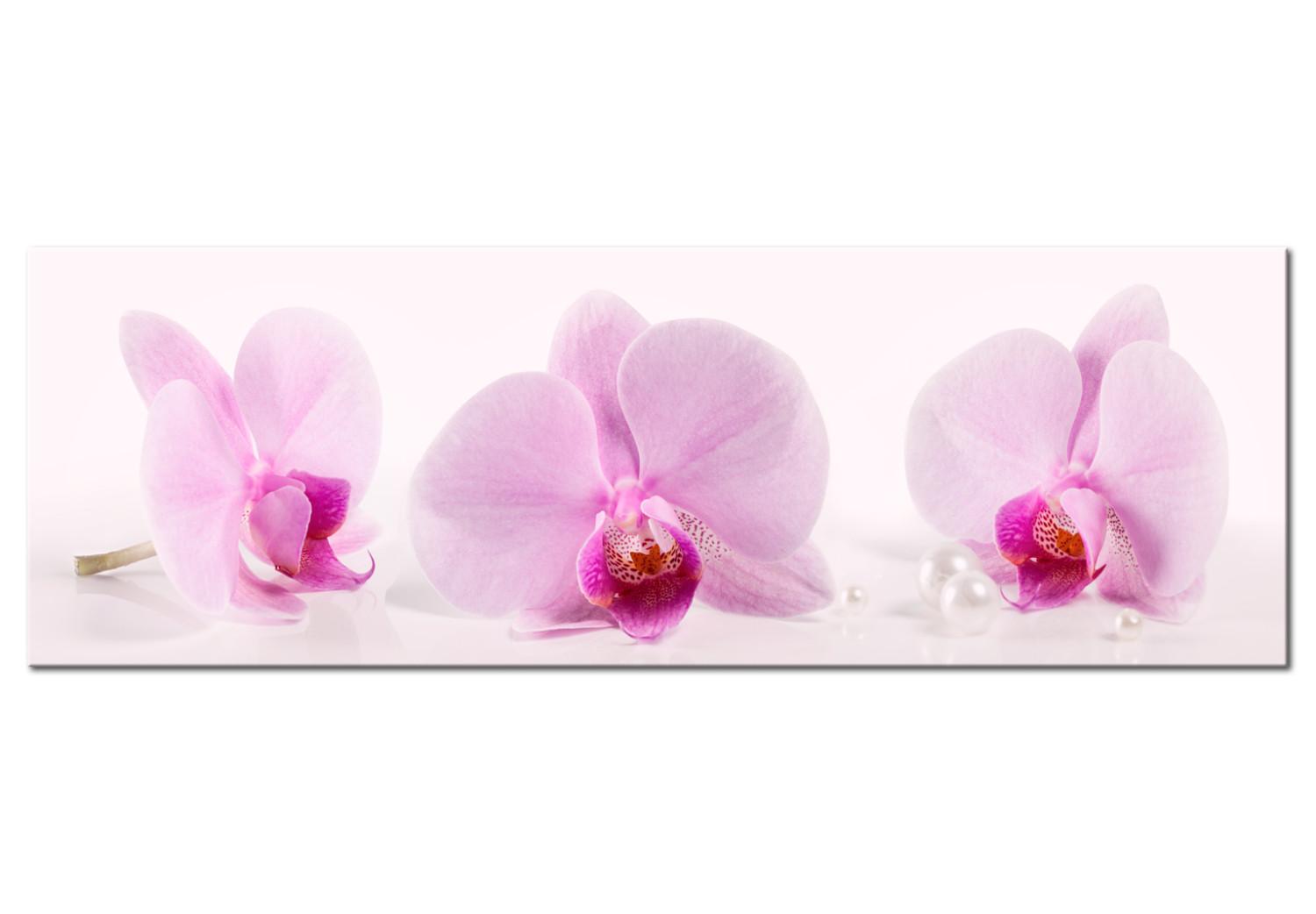 Cuadro moderno Three Orchids