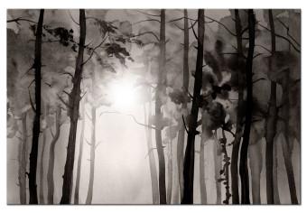 Cuadro moderno Camino por el bosque - un camino entre árboles oscuros que leva al sol