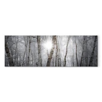 Cuadro Bosque invernal - paisaje de árboles blancos en invierno