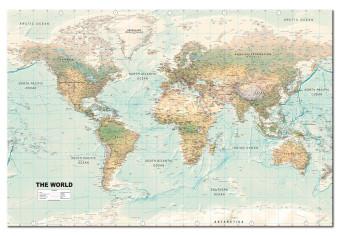 Tablero decorativo en corcho World Map: Beautiful World [Cork Map]