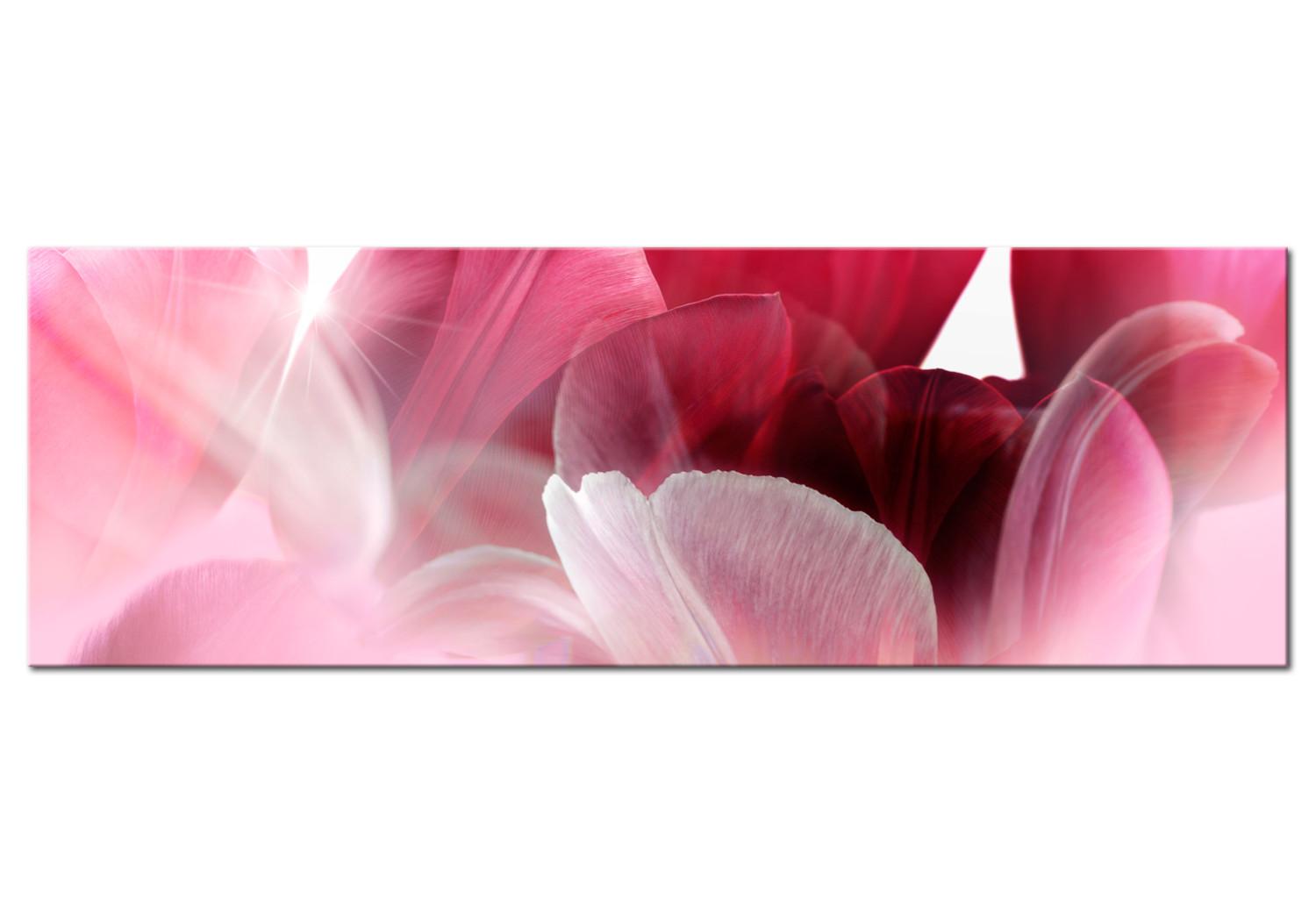 Cuadro Flowers: Pink Tulips
