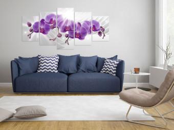 Cuadro decorativo Abstract Garden: Purple Orchis