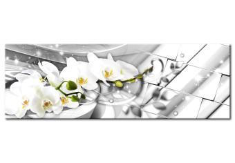 Cuadro decorativo Twisted Orchids