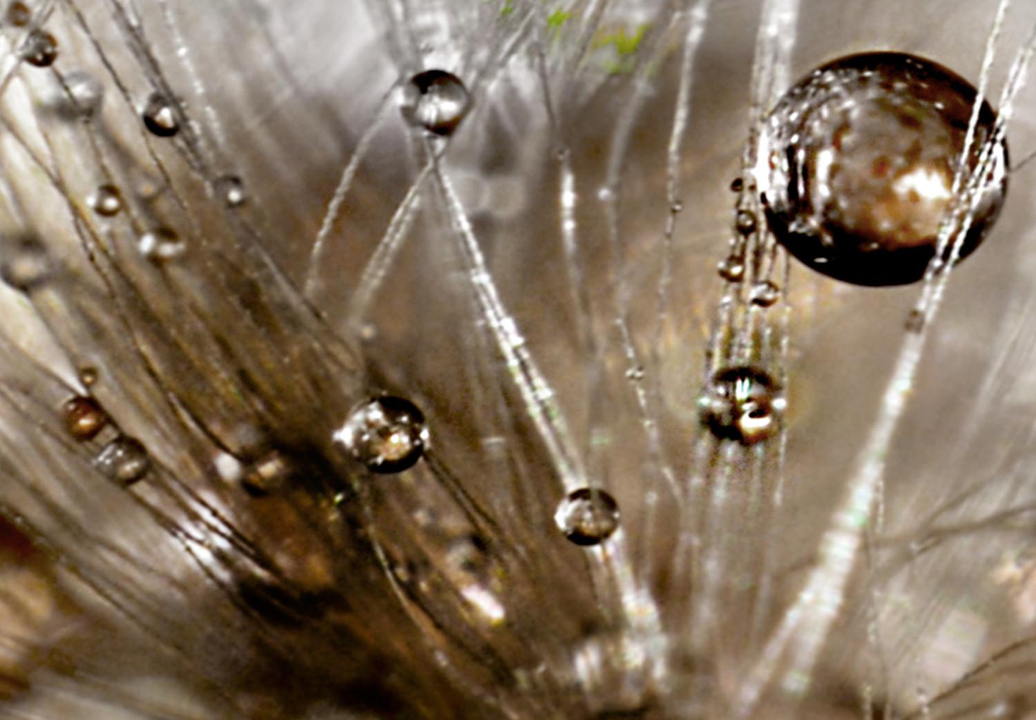 Cuadro Drops of Water