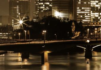 Cuadro moderno Frankfurt by Night