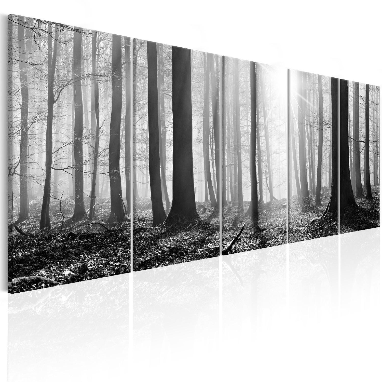 Cuadro moderno Monochrome Forest