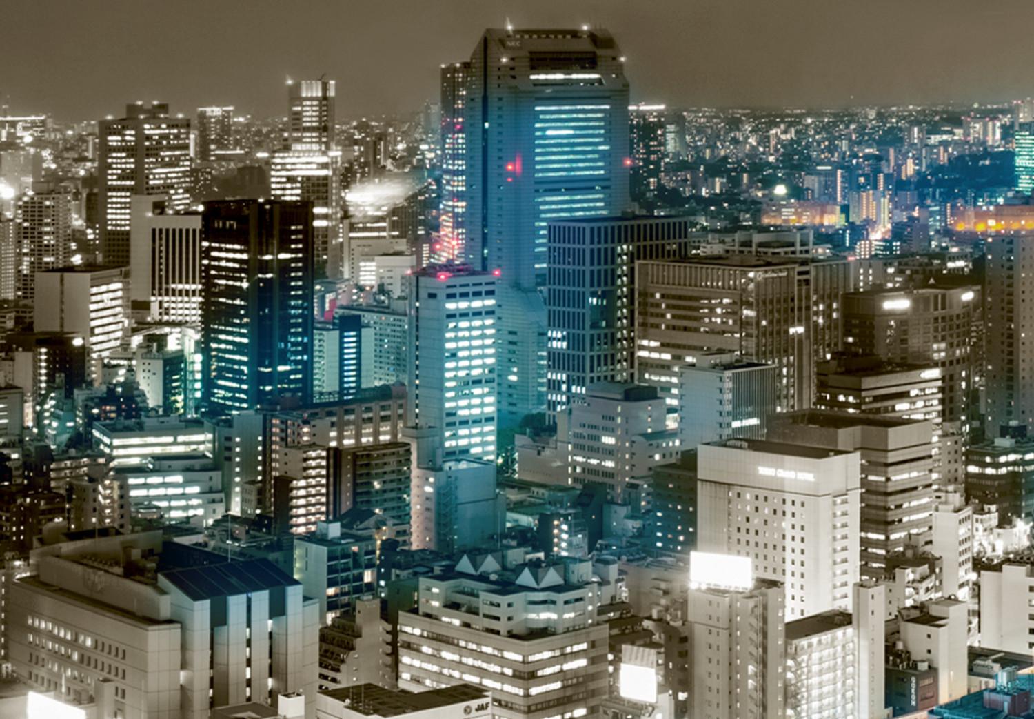 Cuadro decorativo Panorama de Tokio (1 parte) - rascacielos bajo un cielo gris-marrón