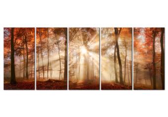 Cuadro Tardío otoño (5 partes) - sol sobre un paisaje boscoso