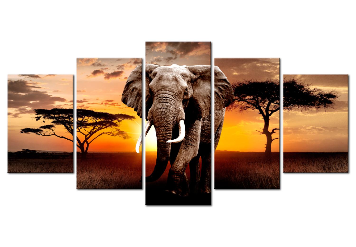 Cuadro moderno Paseo del elefante (5 partes) - atardecer en la sabana africana