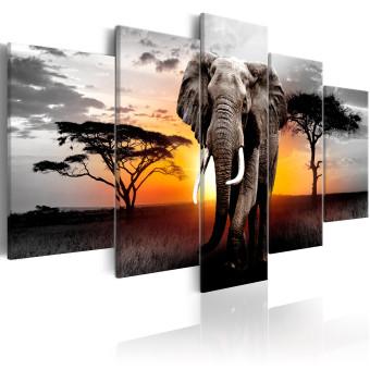 Cuadro Elefante atardecer (5 partes) - viaje por naturaleza africana