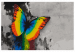Cuadro numerado para pintar Colourful Butterfly 108000 additionalThumb 7
