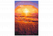 Cuadro numerado para pintar Summer Evening - Orange Sunset on the Beach Full of Grass 144620 additionalThumb 5