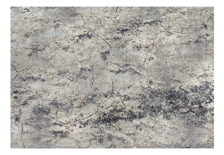 Fotomural a medida Dama gris - fondo minimalista con textura de cemento y grietas 93120 additionalImage 1