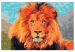 Cuadro numerado para pintar Rey león 107170 additionalThumb 6