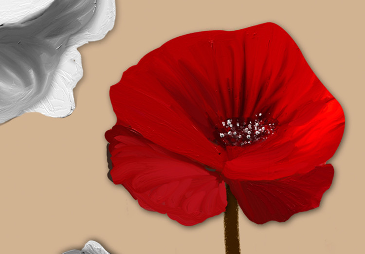 Cuadro Amapolas blancas y rojas - tríptico con flores sobre un fondo marrón 128831 additionalImage 4