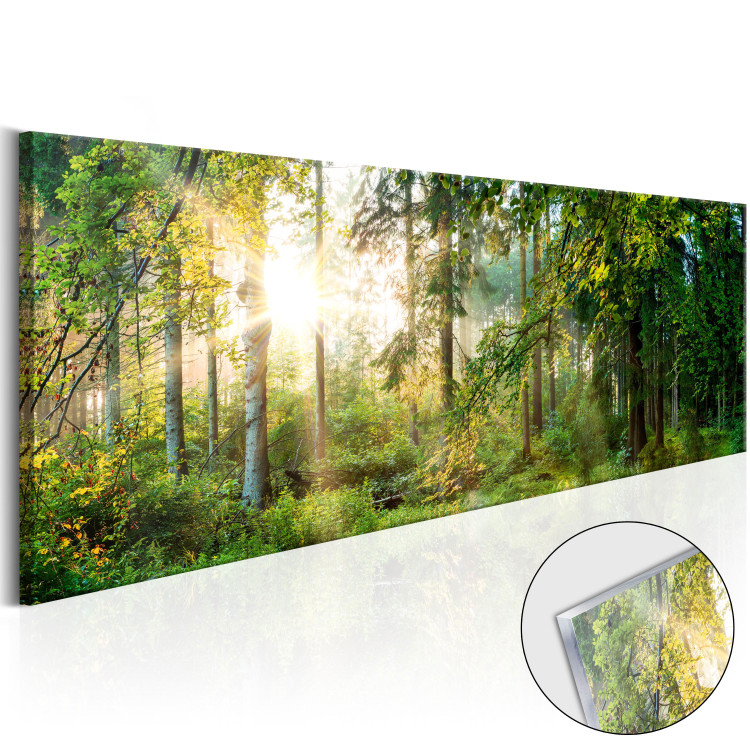 Impresión en el vidrio acrílico Forest Shelter [Glass] 92651