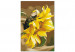  Dibujo para pintar con números Sunflower  138671 additionalThumb 4