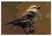 Cuadro para pintar con números Bird on Branch 114881 additionalThumb 6