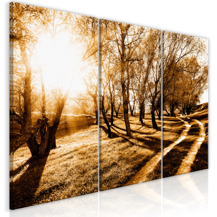 Cuadro moderno Sol otoñal - paisaje con callejón, árboles y naturaleza en luz dorada 122191 additionalImage 2