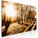 Cuadro moderno Sol otoñal - paisaje con callejón, árboles y naturaleza en luz dorada 122191 additionalThumb 2