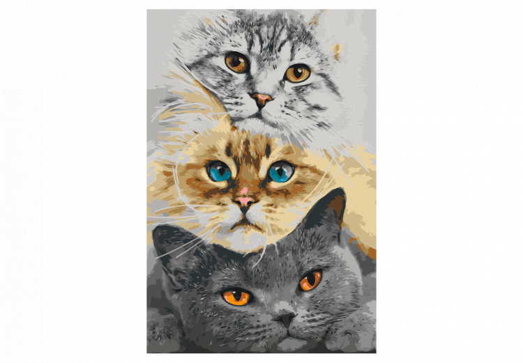 Cuadro numerado para pintar Cat's Trio 132312 additionalImage 7
