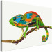 Cuadro para pintar con números Chameleon 119222 additionalThumb 5
