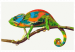 Cuadro para pintar con números Chameleon 119222 additionalThumb 7