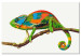 Cuadro para pintar con números Chameleon 119222 additionalThumb 6