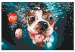 Cuadro para pintar por números Underwater Dog 138432 additionalThumb 3