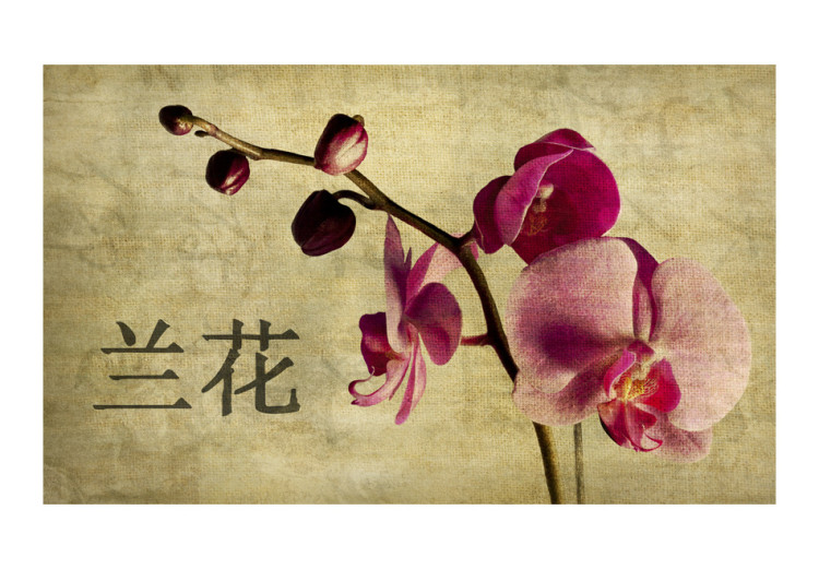 Fotomural decorativo Japanese orchid 60232 additionalImage 1