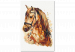 Cuadro para pintar por números Horse Portrait - Animal With a Beautiful Mane on a Gray Background 148873 additionalThumb 5