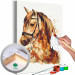 Cuadro para pintar por números Horse Portrait - Animal With a Beautiful Mane on a Gray Background 148873