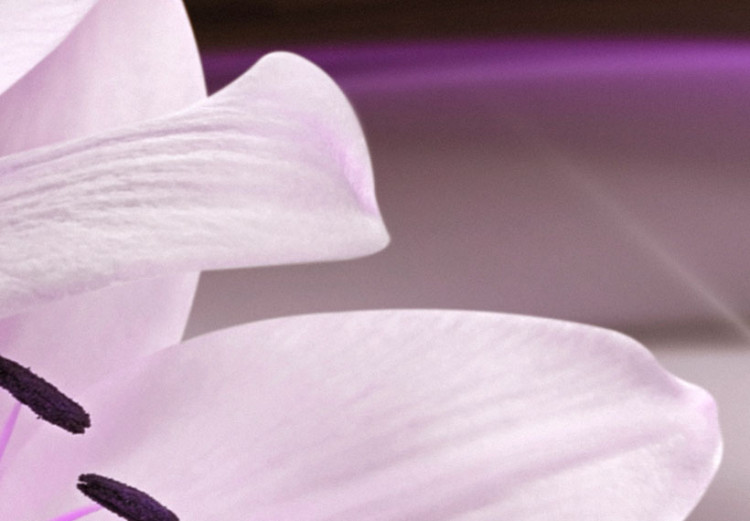 Impresión en metacrílato Violet Desert Lily [Glass] 92373 additionalImage 4