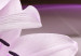 Impresión en metacrílato Violet Desert Lily [Glass] 92373 additionalThumb 4