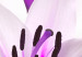 Impresión en metacrílato Violet Desert Lily [Glass] 92373 additionalThumb 5