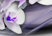 Cuadro en vidrio acrílico Coolness of Orchid [Glass] 92393 additionalThumb 4