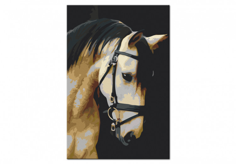 Cuadro para pintar con números Horse Portrait  132314 additionalImage 6