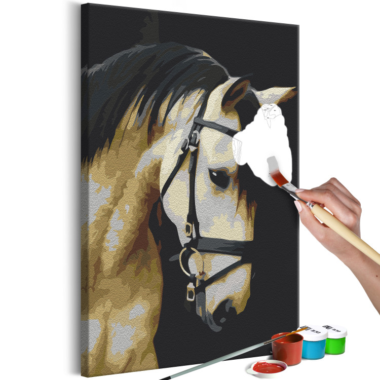 Cuadro para pintar con números Horse Portrait  132314 additionalImage 3