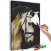 Cuadro para pintar con números Horse Portrait  132314 additionalThumb 3