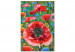  Dibujo para pintar con números Colorful Poppies - Blooming Flowers on a Joyful Decorative Background 144144 additionalThumb 3