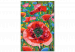  Dibujo para pintar con números Colorful Poppies - Blooming Flowers on a Joyful Decorative Background 144144 additionalThumb 4