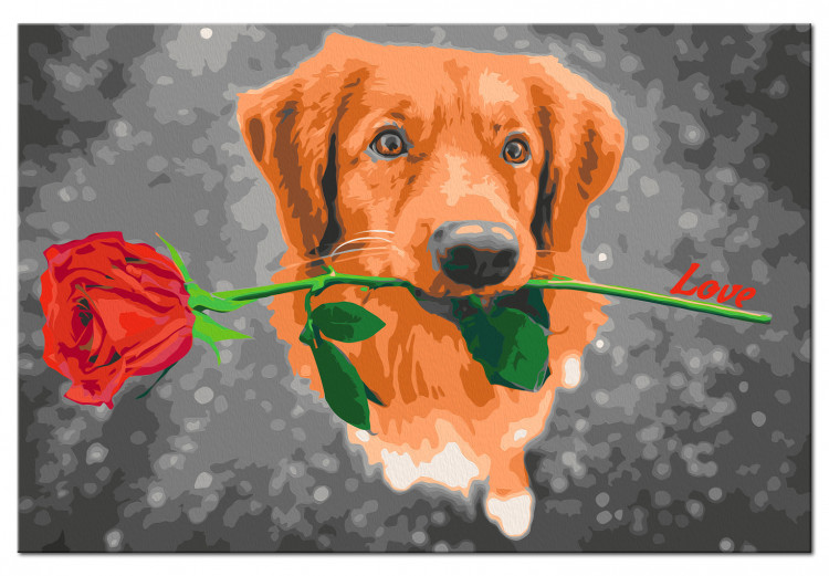 Cuadro para pintar por números Dog With Rose  132315 additionalImage 6