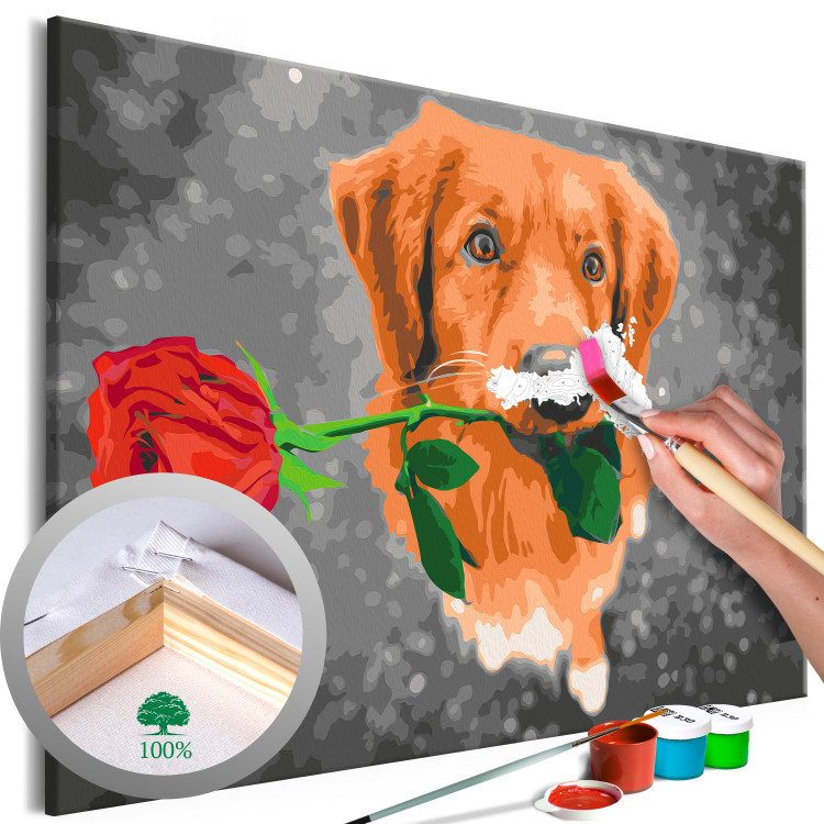 Cuadro para pintar por números Dog With Rose  132315